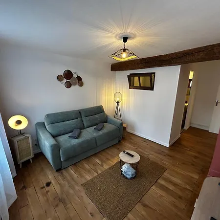 Le Bois Jaillant - Wifi - Centre Historique - Proche Gare Appartement Troyes