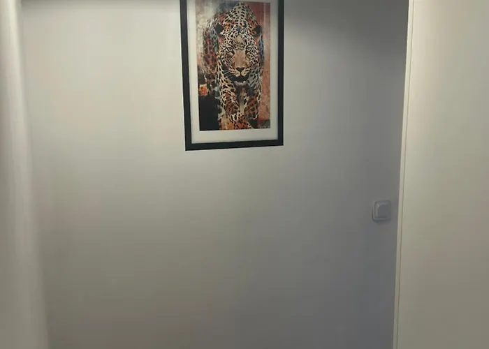 Le Bois Jaillant - Wifi - Centre Historique - Proche Gare * Troyes