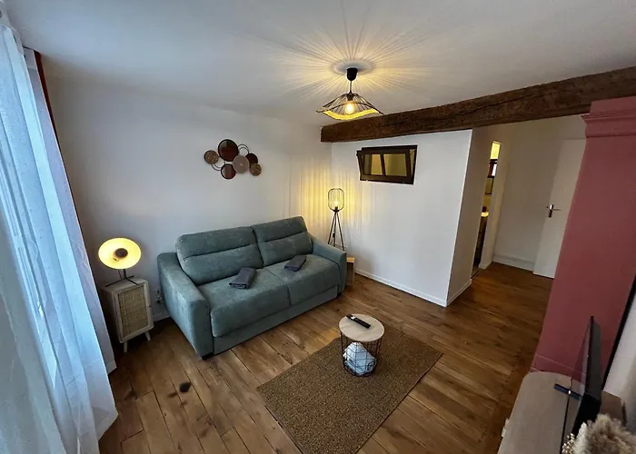 Le Bois Jaillant - Wifi - Centre Historique - Proche Gare Apartamento Troyes